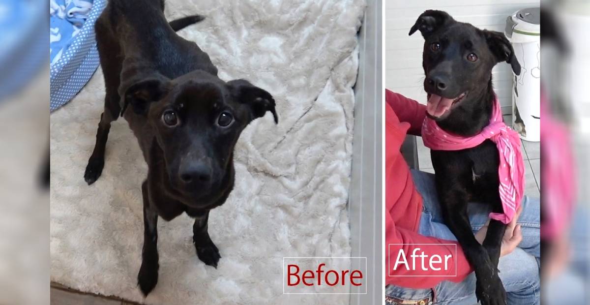 Anna's before and after photos showing her recovery