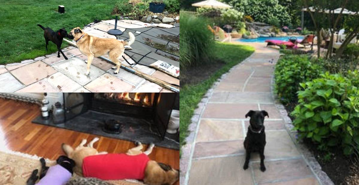 Anna enjoying her new life with her adoptive family