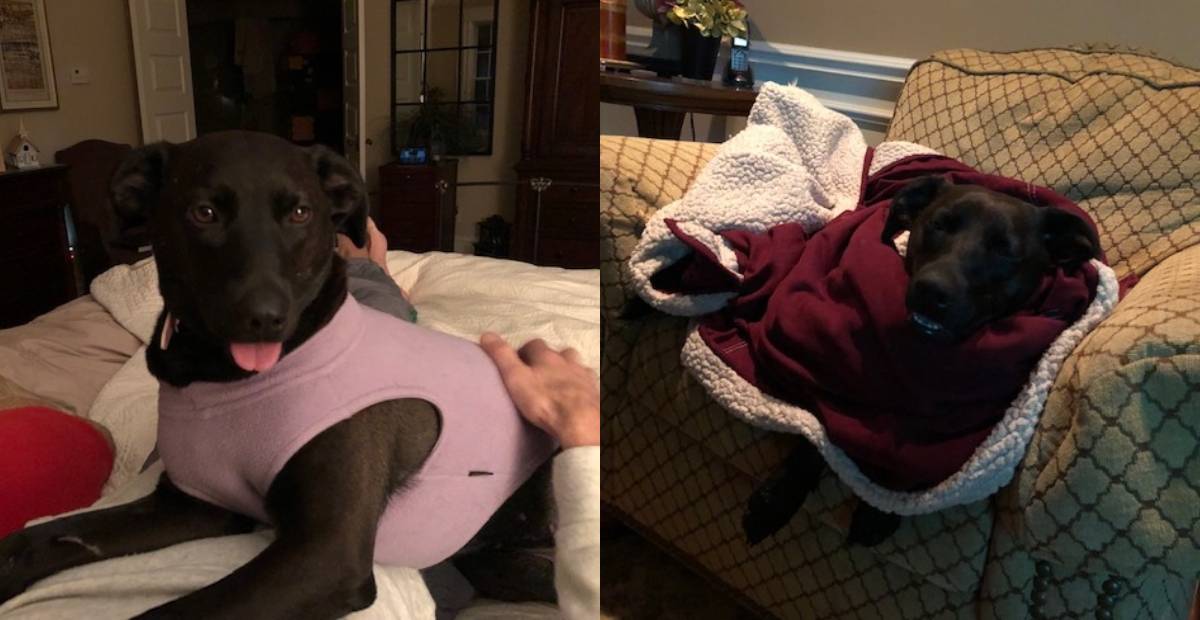 Anna looking cozy in her shirt and blanket
