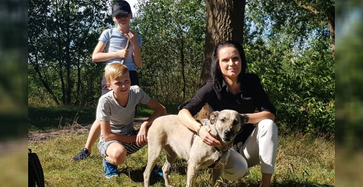 Stray dog Helen with her new family