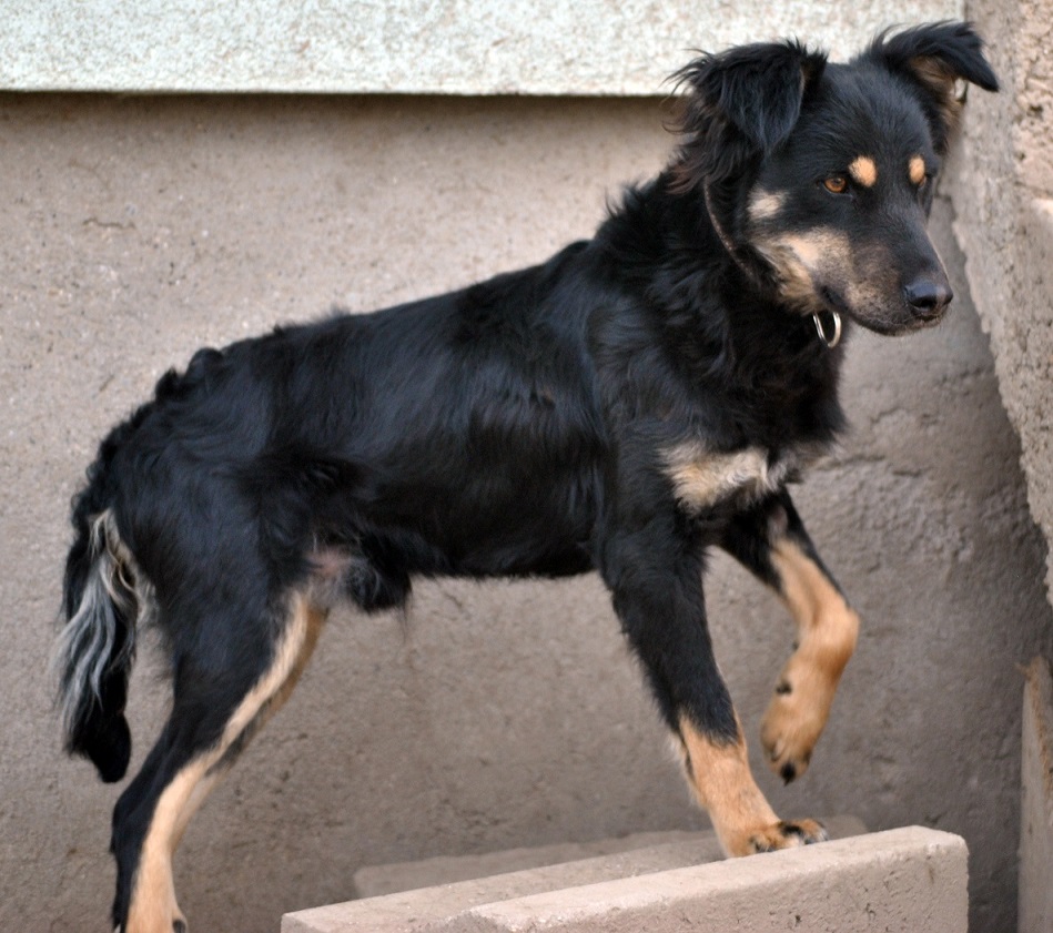 A healed Luca standing proudly