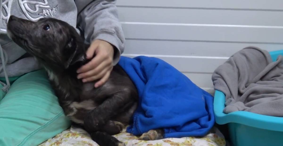 Mina being comforted by a shelter worker