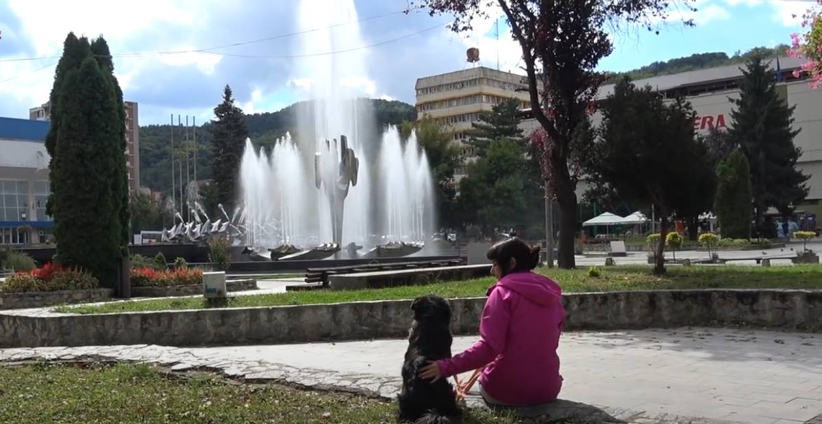 Tina the dog and her rescuer sitting at the park