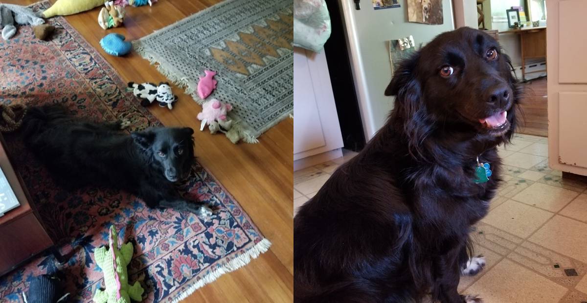 Tina looking happy at her adoptive family's home