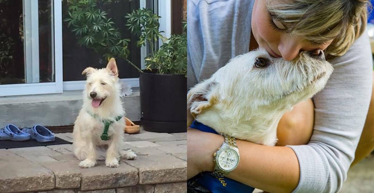 Zuzi the dog gets hugs from her new family
